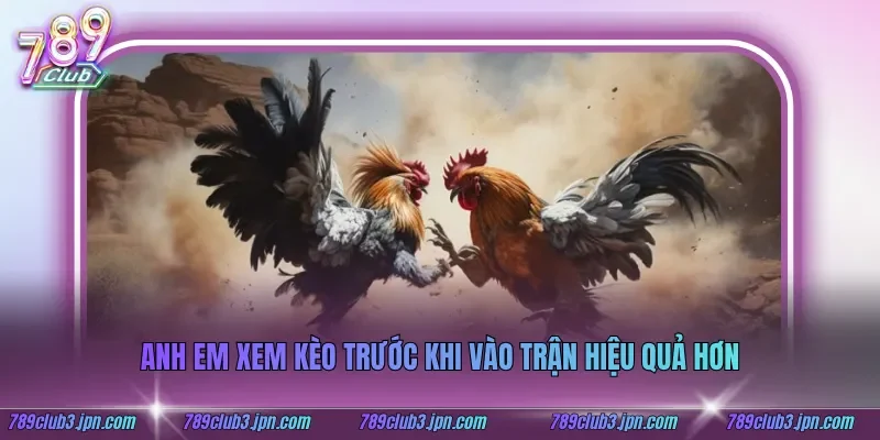 Anh em xem kèo trước khi vào trận hiệu quả hơn