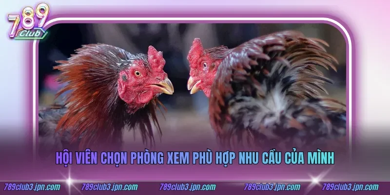 Hội viên chọn phòng xem phù hợp nhu cầu của mình